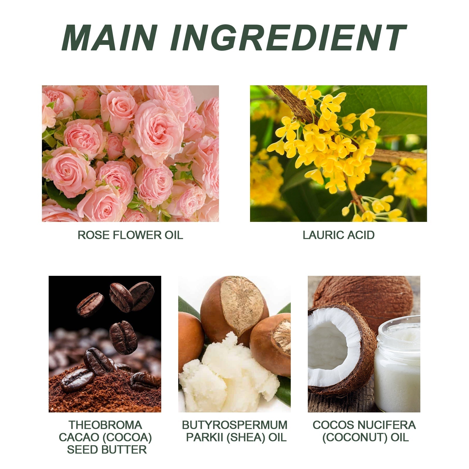 Rose Scented Soap for Gentle Body Cleansing Skin Care